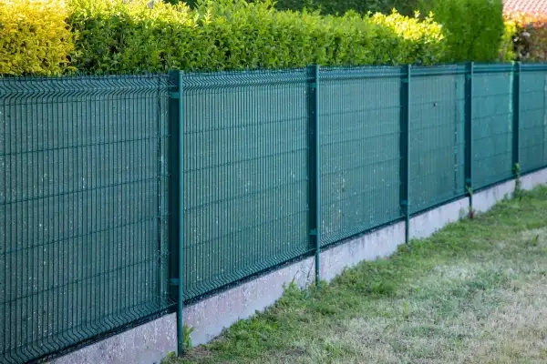Panelçit