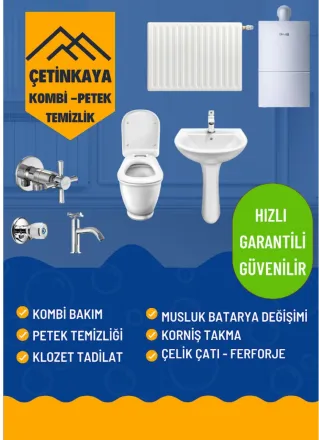 Ali Çetinkaya