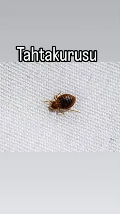 Ayhan Erkun
