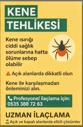 Mustafa Kaşıkçı