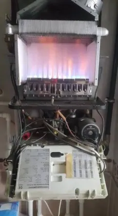 Mehmet akif Çalışkan