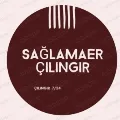 Soner Sağlamer