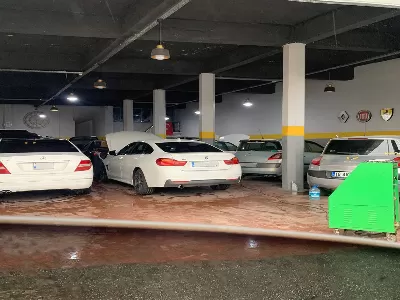 Halim Balı 6
