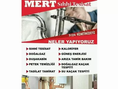 Veli Bakır 8