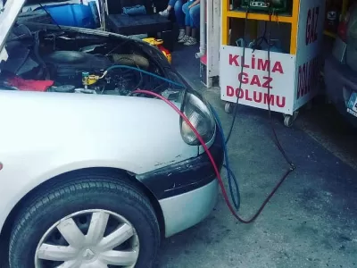 Doğan Gültekin 6