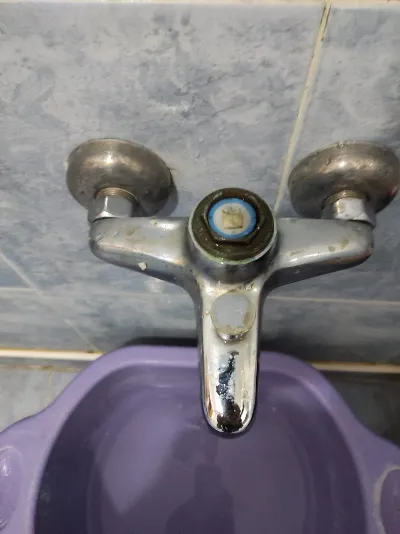 İrfan Çello 12