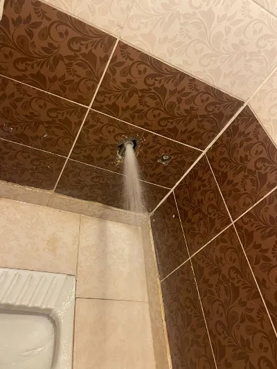 İrfan Çello 13