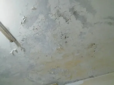 İrfan Çello 17