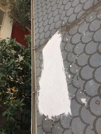 Hanifi Çiçek 4