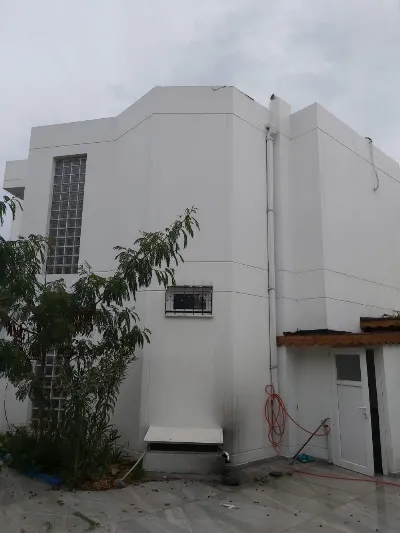 Fırat Ayan 6