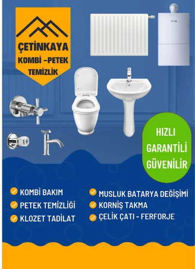 Ali Çetinkaya 2