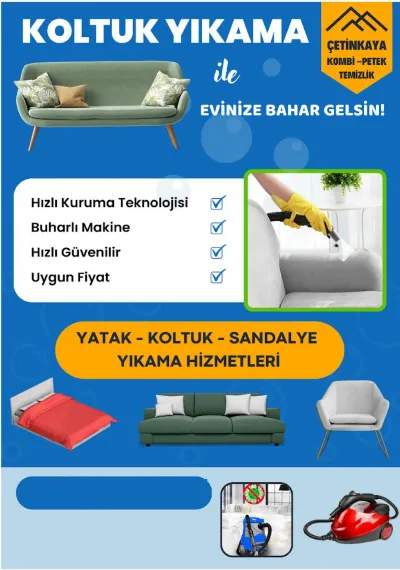 Ali Çetinkaya 1