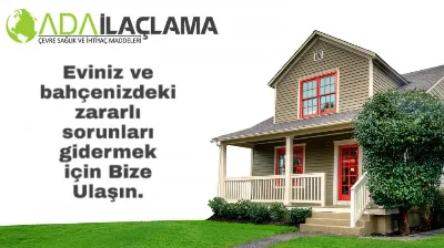 İsmet Akman 4