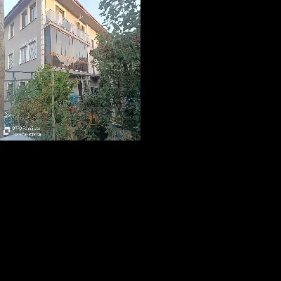 Ali Aydın 1