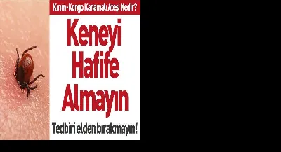 Tuncay Kurt 1