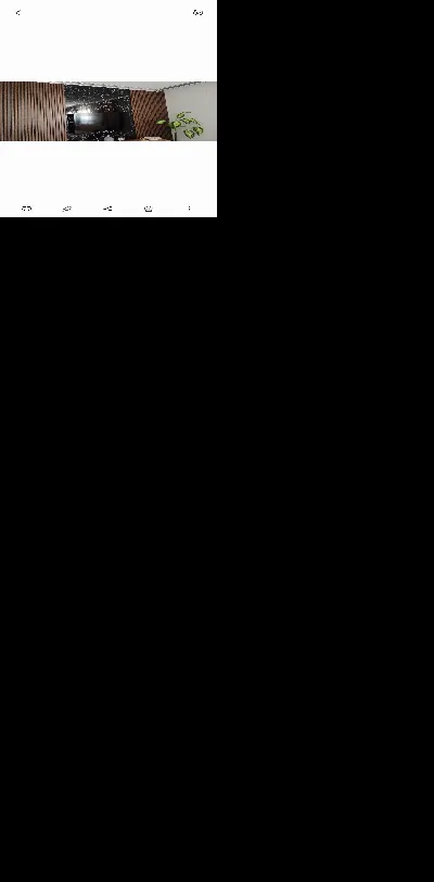 Ayetullah Palas 2