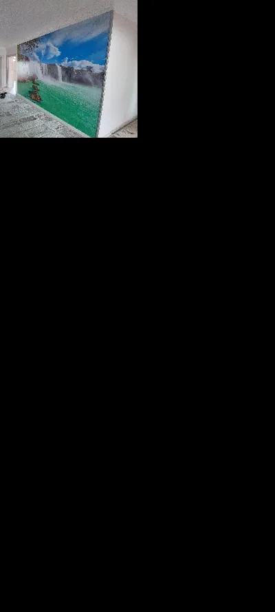 Erdal Şanlı 4