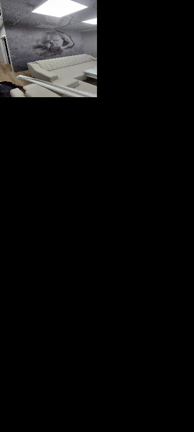 Erdal Şanlı 2