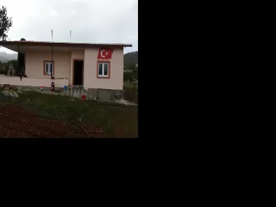 Talip Zeybek 3