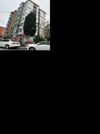 Rıdvan Avcı 6