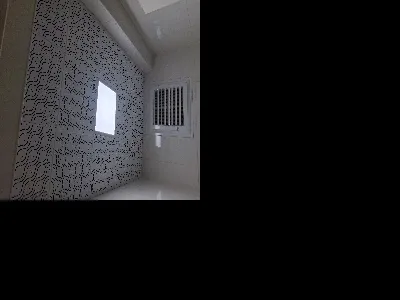 Sinan Dikmen 1
