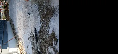 Malik Deniz Karakoç 4