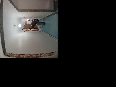 Servet Çelebi 2