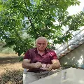 Mehmet Selim Çelik
