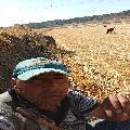 Dinar Taş