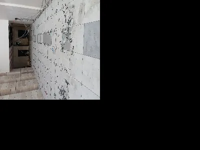 ŞakirGüngür 2