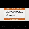 Cenap Usta