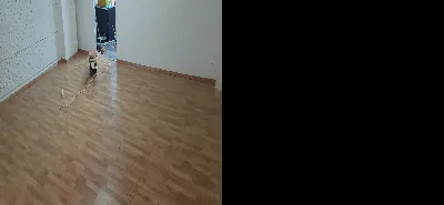 Ömer Dinçer 7