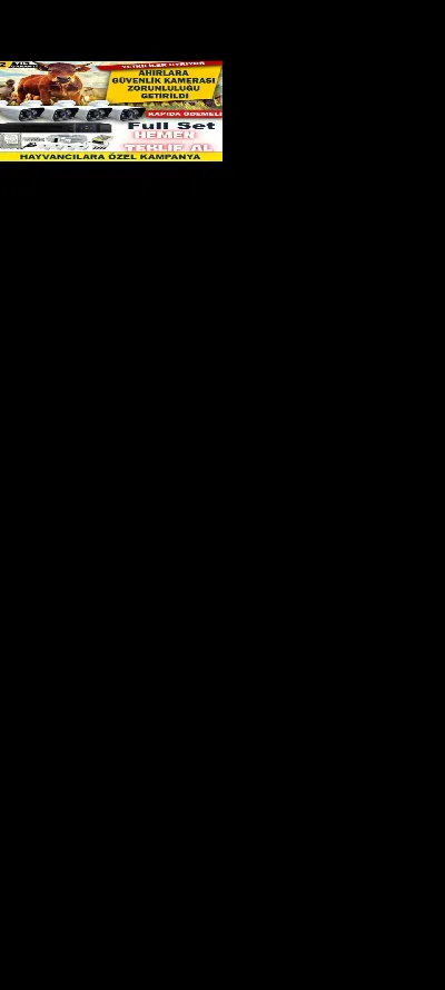 Yusuf kuzu 5