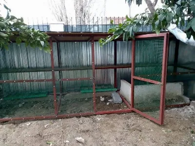 Çaĝlayan Yaman 6