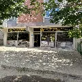 Arafat KırmızıKoyun