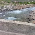 Hümeyra Çalíşkan
