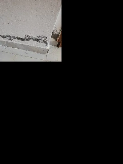 Şehmus hızmalı 2