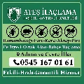 Ateş İlaçlama