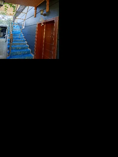 Tuğrul Oran 9
