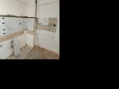 Tuğrul Oran 13