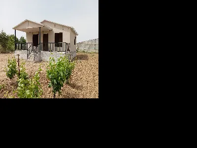 hakan Taşdemiroğlu 3