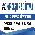 Çağdaş Gezgin
