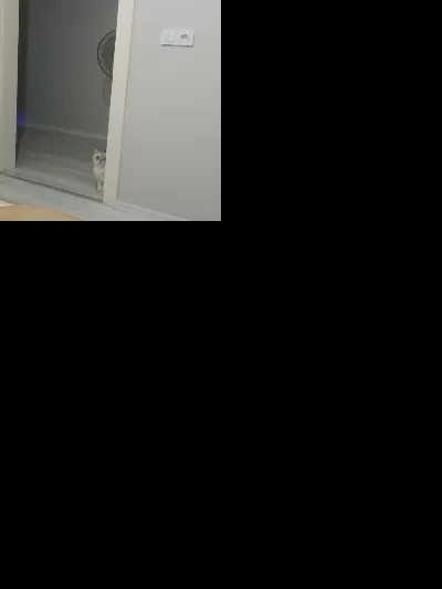 Erman Dağlar 6