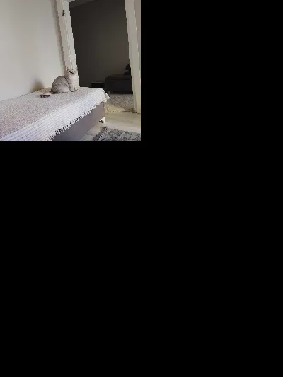 Erman Dağlar 10