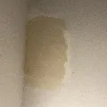 Şahin Usta