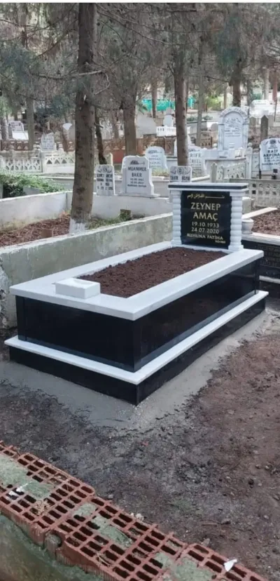 Erdinç Başdinç 7