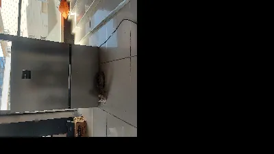 Özen Kelleci 3