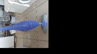 Özen Kelleci 5