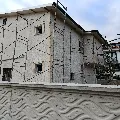 Şerefat kırmızı koyun