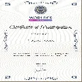 Veysel Demir